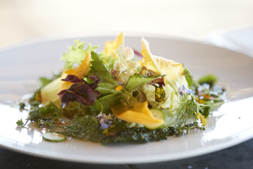 Gabriel Schkolnick Food Vegetables Plate Colors Parsley Green Yellow Salad