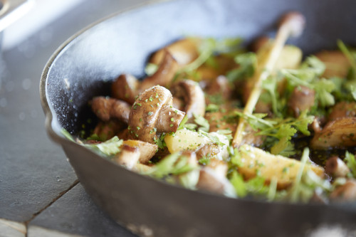 Gabriel Schkolnick Food Salad Green Mushroom Parsley Bowl