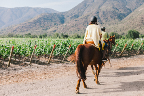 Horse back-riding Constanza Miranda landscape mountains poncho crops woman man ruana vineyards