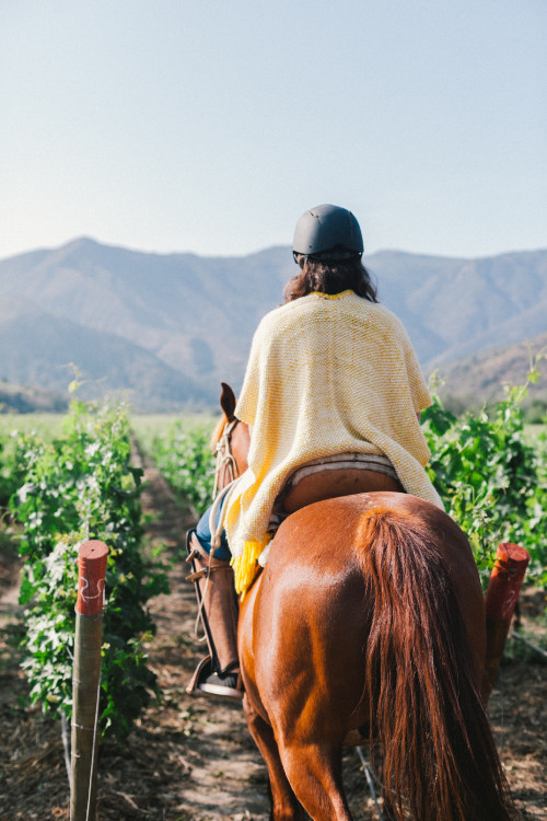 Horse back-riding Constanza Miranda woman crops poncho mountains ruana vineyards