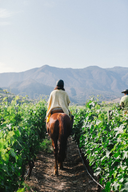 Horse Back-riding Constanza Miranda woman crops mountains poncho landscape nature man ruana vineyards