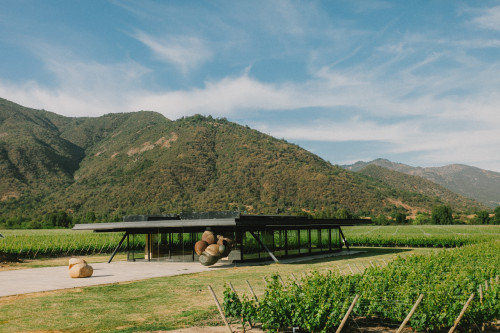 Constanza Miranda Nature Architecture Rocks exterior Landscape Green Plants Crops  vineyards Sky Blue Clouds sculpture