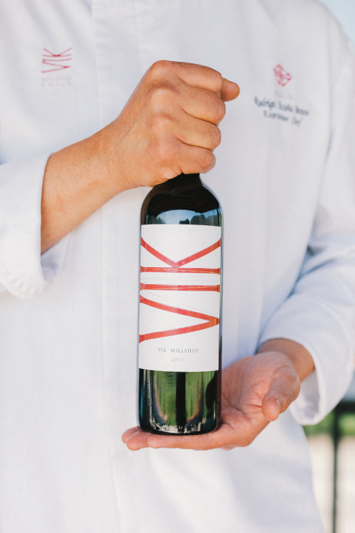 Constanza Miranda Wine VIK Bottle Man Hands Product Bottle Shots