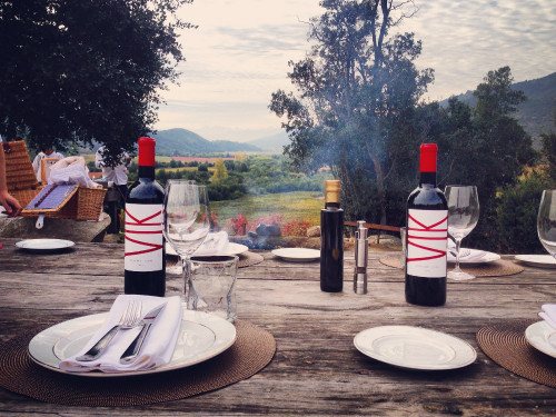 Picnic product bottle artistic shots table setting plates glass VIK basket fork knife napkin salt pepper landscape mountain nature men cutlery