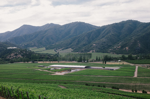 Constanza Miranda Valley Mountains retreats crops Landscape - Nature
