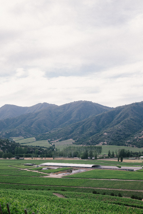 Constanza Miranda Valley Mountains retreats crops Landscape - Nature