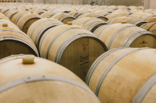 Interior Constanza Miranda barrel VIK production facilities