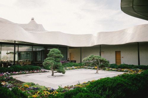 VIK Hotel Constanza Miranda Zen Garden Milla Milla Restaurant exterior flowers Karesansui courtyard