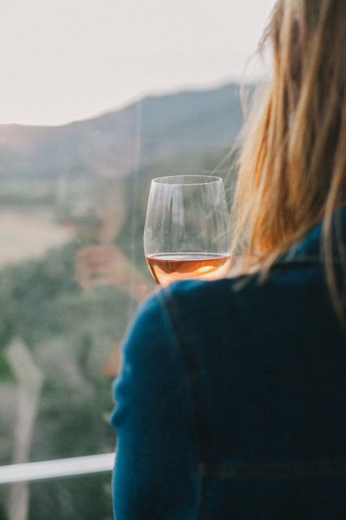 VIK Hotel Constanza Miranda glass wine woman blue dress window view mountains rose tasting