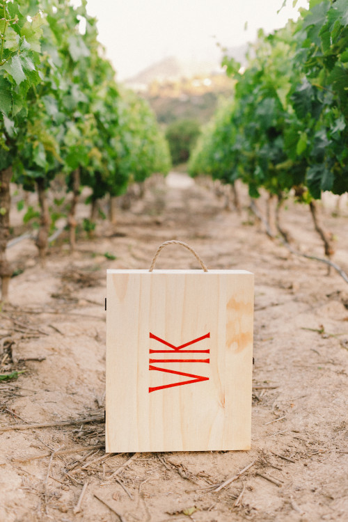 Constanza Miranda Bottle Artistic Shots vineyards wood double box path crops green VIK