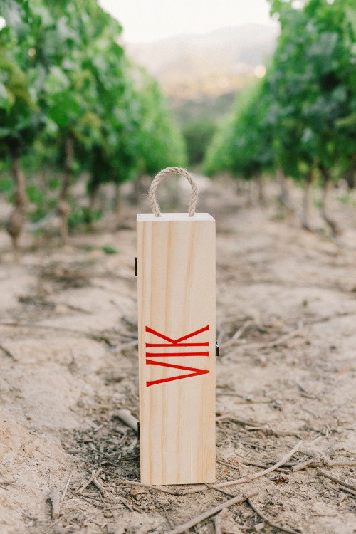 Constanza Miranda Bottle Artistic Shots vineyards crops path VIK wood box