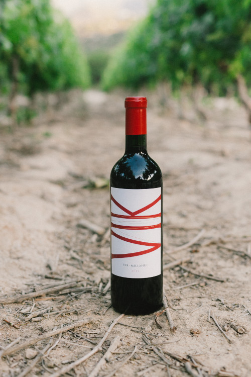 Constanza Miranda Bottle Artistic Shots vineyards green crops path VIK