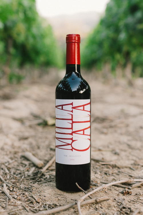 Constanza Miranda Bottle Artistic Shots path vineyards crops Milla Cala