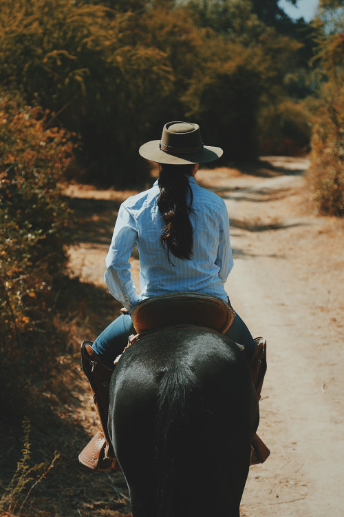 Horse back-riding woman path