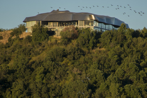 Joaquín Rivas VIK Hotel exterior landscape nature birds flock