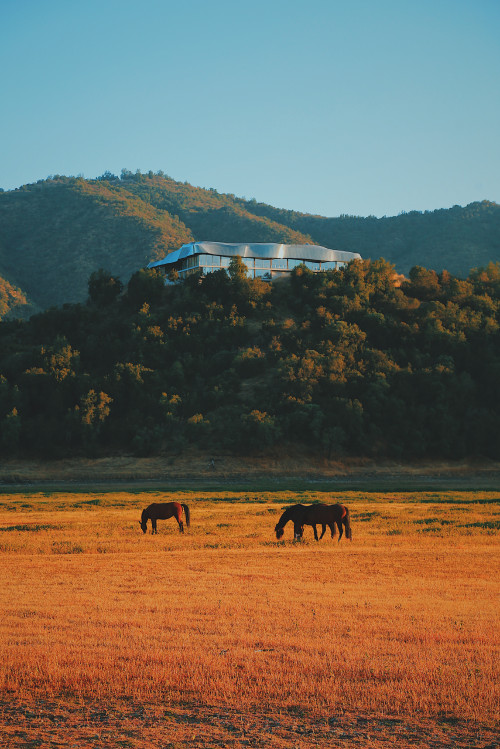 VIK Hotel mountains landscape nature  horses grazing exterior