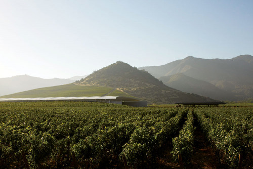 Exterior Cristóbal Palma  mountains  landscape sky crops Pavilion Restaurant green vineyards architecture vine