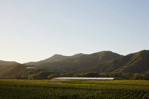 Exterior Cristóbal Palma mountains crops vine landscape nature architecture VIK Chile exterior  vineyards wine cellar