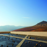 The-Winery-at-VIK-0542