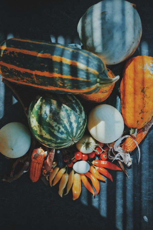 watermelon pumpkin Cherry tomato corn chili pepper egg melon