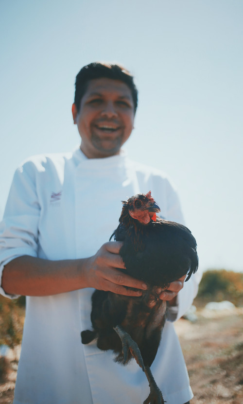 chef Rodrigo Acuña VIK  hen 
rooster