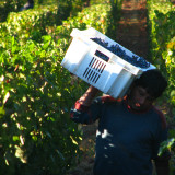 Gonzague_IMG_2699