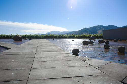 Exterior sloping plaza rocks  footpath water mountains  blue sky crops vine landscape nature clouds sun architecture