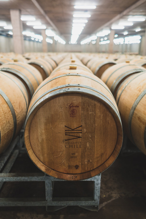 interior barrel VIK 2016 Sylvain wood