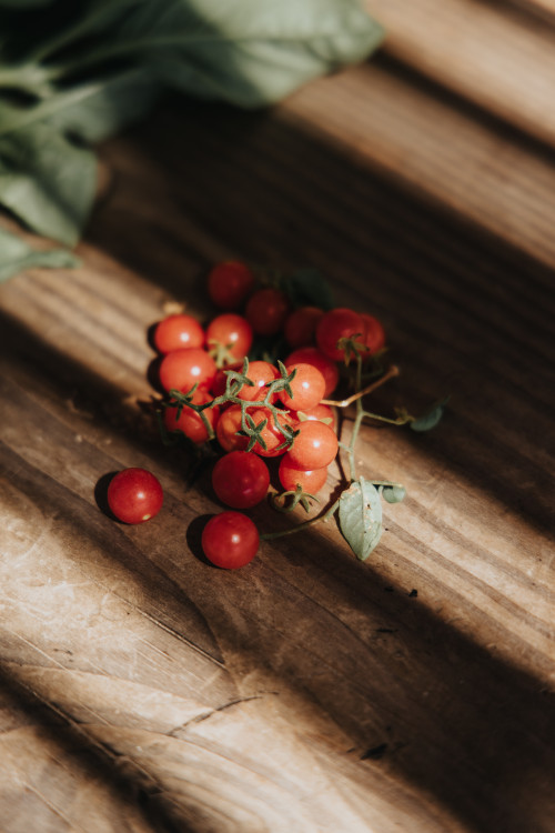 Contento Studio tomato wood cherry