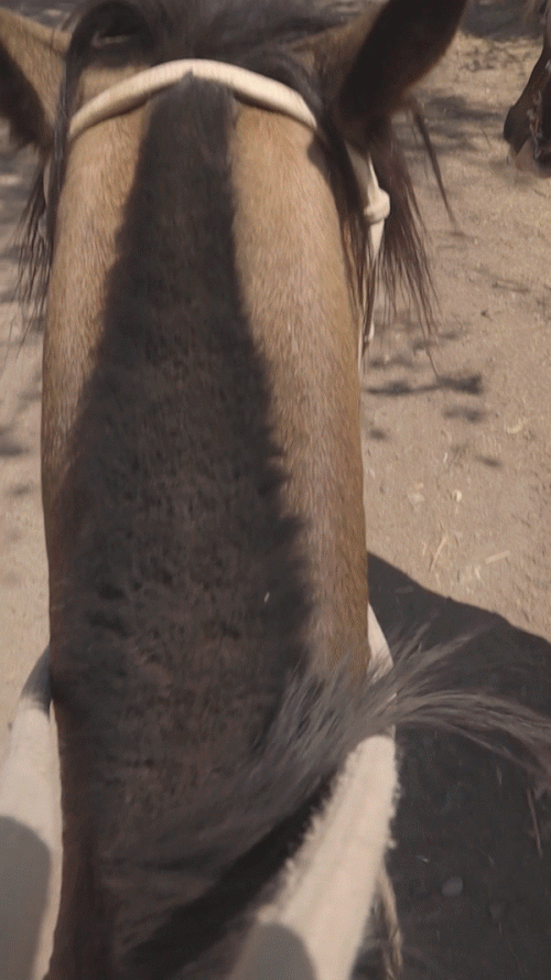 Outdoor.gif