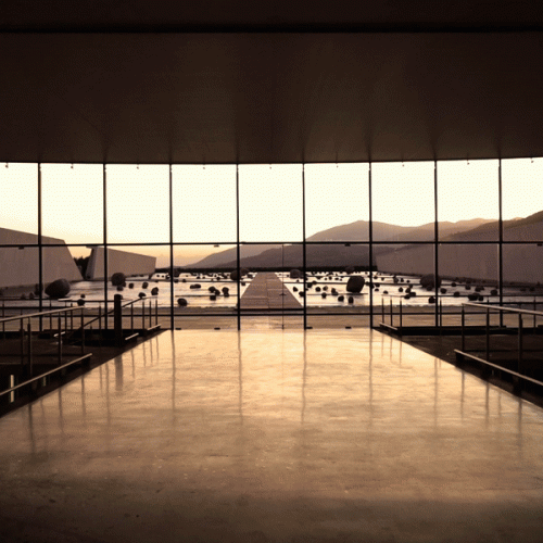 Wine-cellar.gif