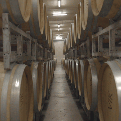 Wine-cellar55a979bccd012169.gif