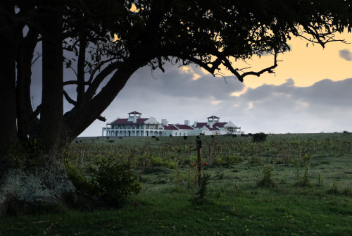Estancia VIK Jose Ignacio Uruguay building architecture landscape nature tree green crops clouds