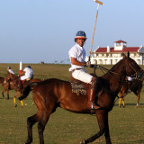 POLO-IMG_00504