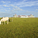 1.-Horse_Estancia