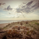 Beach-at-La-Susana-1