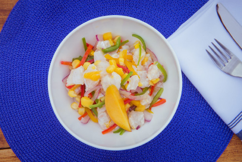 La Susana Restaurant José Ignacio Uruguay ceviche food plate fish knife napkin blue white corn peppers green yellow red purple onion