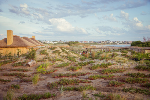 La Susana Restaurant José Ignacio Uruguay landscape sea beach bush sand chimney bar exterior houses people village blue sky clouds