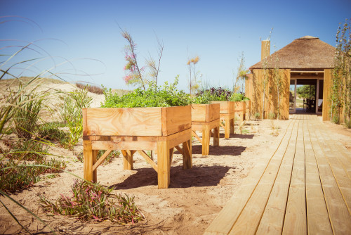 La Susana Restaurant José Ignacio Uruguay sand entrance urban garden plants bush blue sky raised beds exterior