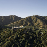 Puro-Vik-2