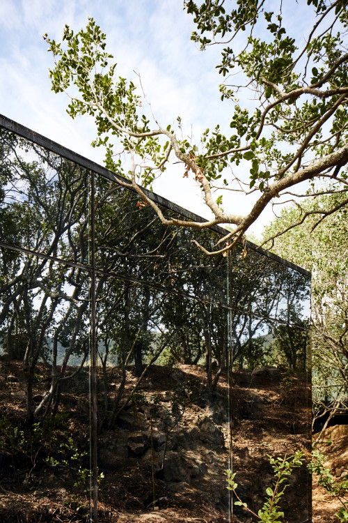 Puro VIK Chile exterior trees green building mirror