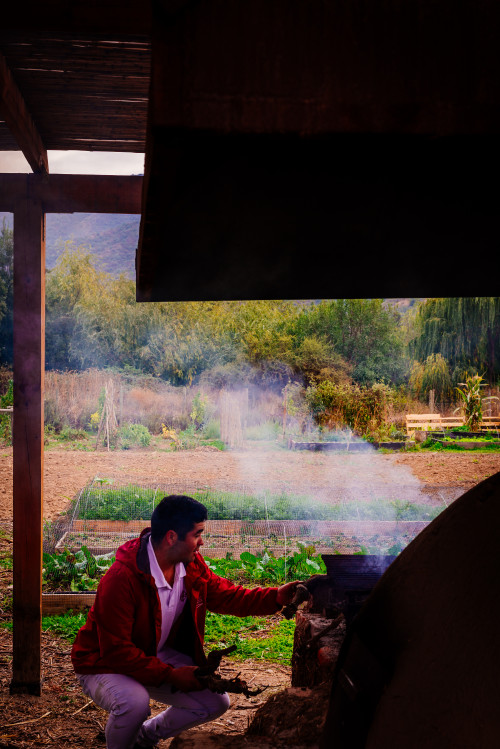 clay oven firewood  orchard green brown trees smoke man red VIK jacket