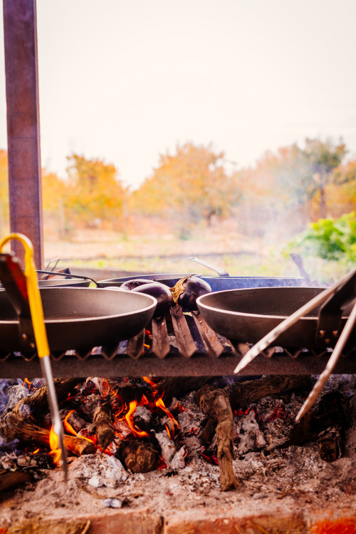 skillet vegetables  eggplant  barbecue tongs yellow trees firewood fire embers