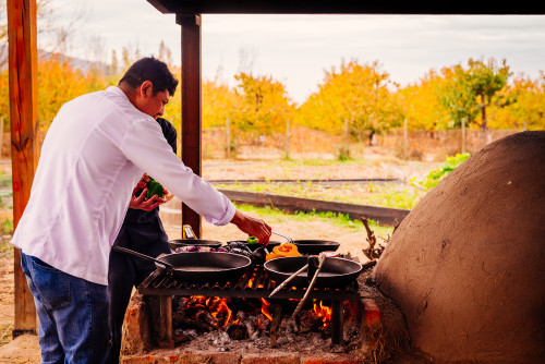 clay oven skillet vegetables  eggplant  barbecue tongs yellow trees firewood fire embers men orchard tomato pepper purple onion pumpkin chef
