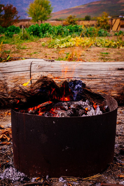 red green fire flame brazier trees trunk mountains