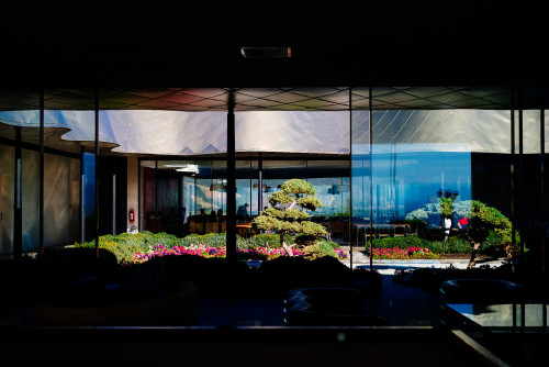VIK Hotel  Zen Garden Milla Milla Restaurant exterior flowers Karesansui courtyard window view