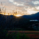 DSC_5306