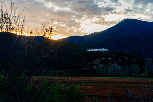 VIK Hotel exterior bush trees sky clouds vineyards red landscape nature mountains  sunset