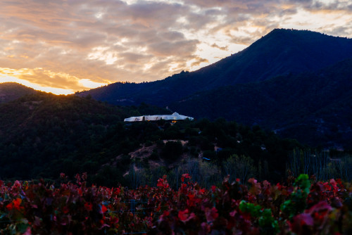 VIK Hotel exterior bush trees sky clouds vineyards red  landscape nature mountains  sunset