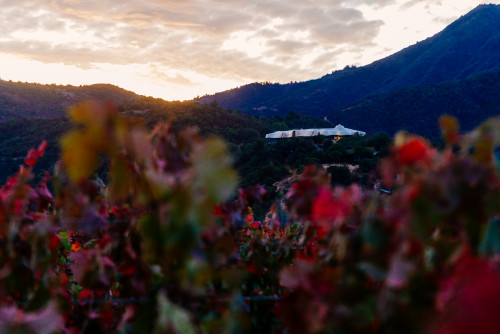 VIK Hotel exterior bush trees sky clouds vineyards red mountains sunset
